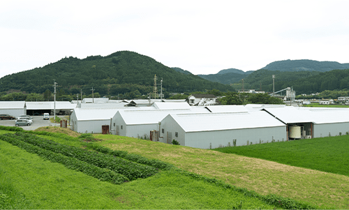 株式会社ふじきのこ