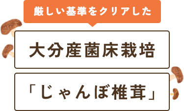 大分産菌床栽培「じゃんぼ椎茸」